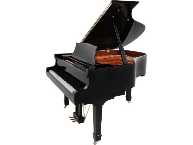 Schwarzbach SB-168 PE