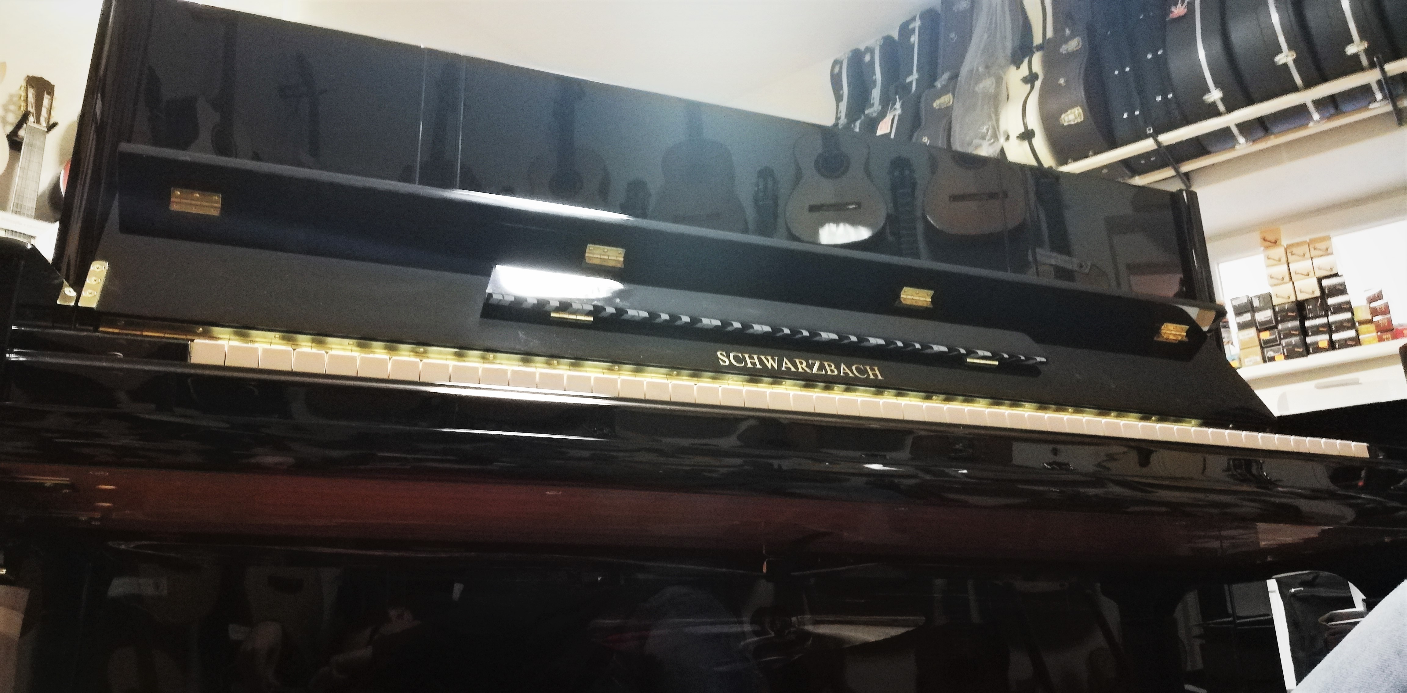 Schwarzbach SB-168 PE